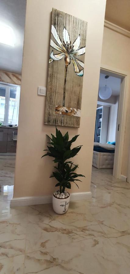 Casa Balliu นาโวดาริ ภายนอก รูปภาพ